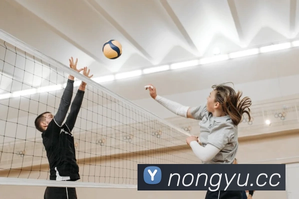 多媒体互动体验